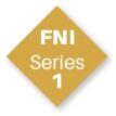 FNI 1 SERIES logo